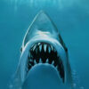 'Jaws' at 50 - Why it’s Still the Blueprint for the Perfect Summer Blockbuster