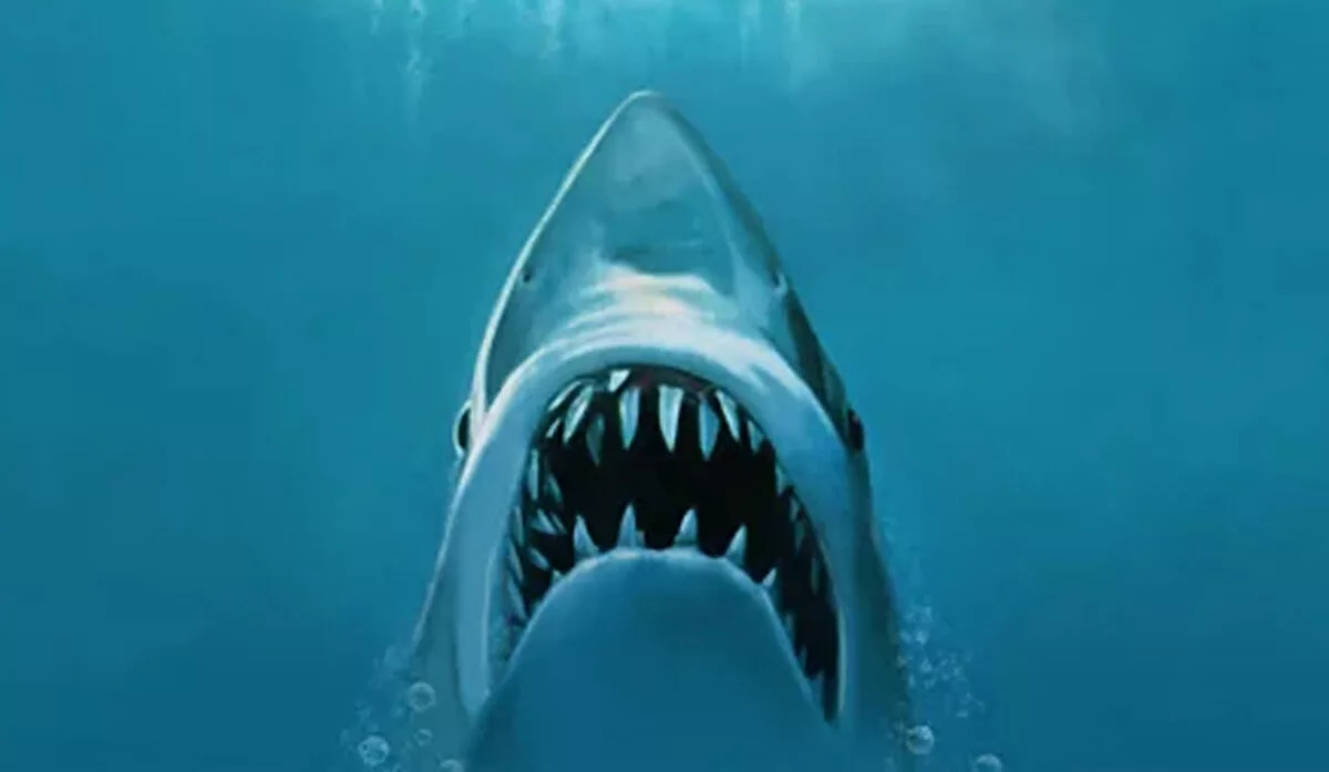 'Jaws' at 50 - Why it’s Still the Blueprint for the Perfect Summer Blockbuster