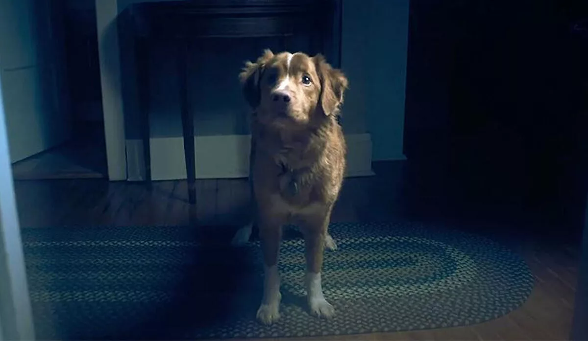 good boy review movie 2025