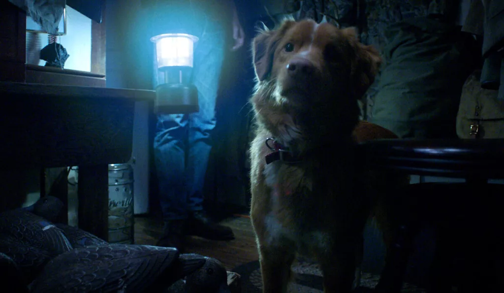 good boy review movie 2025