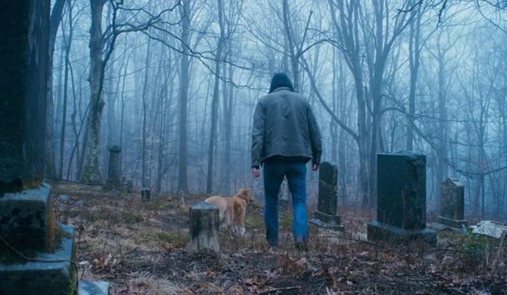 good boy movie 2025