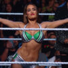 Nikki Bella Sparks Dating Rumors With Outfit Choice on WWE RAW