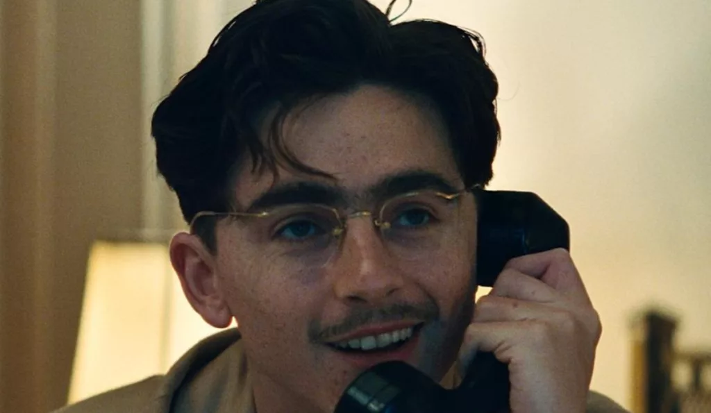 Best Actor in a Motion Picture – Musical or Comedy: Timothée Chalamet